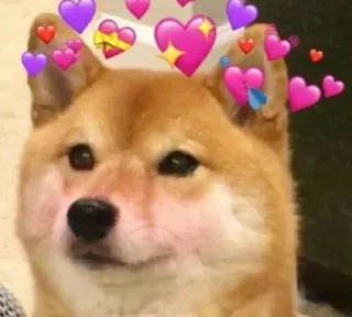 😍 doge, hond, hartjes, liefde, schattig, meme, kawaii telegram sticker