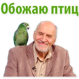 🦅 Обожаю птиц นกแก้ว, นก, ผู้ชาย, รัสเซีย, ข้อความ, ชอบนก whatsapp sticker