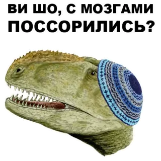 🙀 ВИ ШО, С МОЗГАМИ ПОССОРИЛИСЬ? dinosauro, divertente, cappello, domanda whatsapp sticker