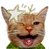 😄