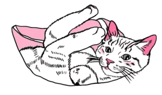 😏 Katze, Kätzchen, Tier, süß, verspielt, weiße Katze, rosa telegram sticker