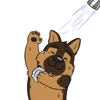 🚿 Hund, Dusche, Bad, süß, Haustier, sauber telegram sticker