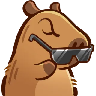 🧐 카피바라, 선글라스, 동물, 멋진, 설치류, 스티커 telegram sticker
