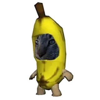 ❤️ cat, banana, costume, animal, funny telegram sticker