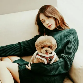 🕊 phụ nữ, chó, chó poodle, thú cưng, áo len, chân dung telegram sticker