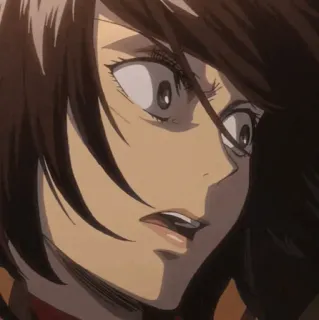 ❤️ Mikasa Ackerman Attack on Titan อนิเมะ, ตัวละคร, กลัว, ตกใจ, ผ่าพิภพไททัน, มิคาสะ whatsapp sticker