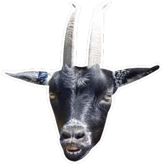 👿 goat, animal, horns, mammal telegram sticker