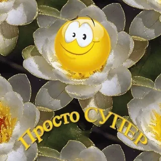👍 Просто супер whatsapp sticker