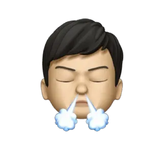 🫁 whatsapp sticker