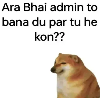 🙂 Ara Bhai admin to bana du par tu he kon?? ドージ, ミーム, 質問, 管理者 telegram sticker