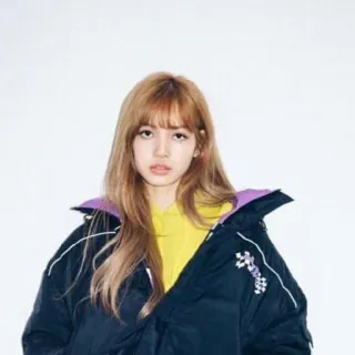 🌼 Lisa Lisa, K-pop, Blackpink, chanteuse, idole, célébrité, mode, style whatsapp sticker
