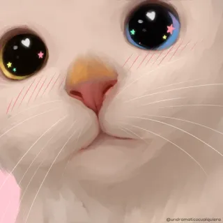 😿 undramaticocualquiera gato, mono, kawaii, blanco, ojos whatsapp sticker