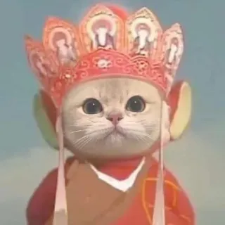 👑 kot, zwierzę, uroczy, naklejka, mem, śmieszne, cosplay, fikcja telegram sticker