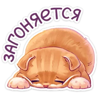 😖 загоняется 猫, ステッカー, 動物, 可愛い, 眠い, オレンジ, 悲しい telegram sticker