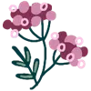 🌺