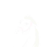 🐎 ม้า, สัตว์, ม้า, สติกเกอร์, การ์ตูน telegram sticker
