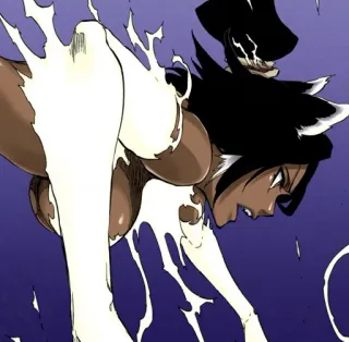⚡️ Yoruichi Shihōin Bleach Anime, Manga, Yoruichi, Shihōin telegram sticker