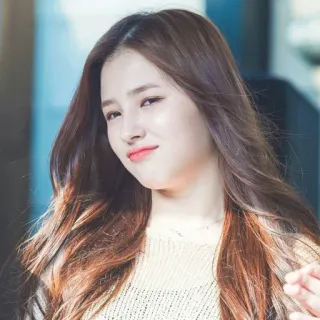 🐣 Nancy K-Pop, Ídolo, Cantante, Celebridad, Mujer, Retrato telegram sticker