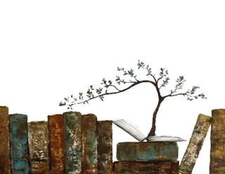 🍃 books, tree, reading, literature, knowledge, education, nature telegram sticker