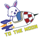 🥳 TO THE MOON rabbit, rocket, moon, cartoon, animal, space telegram sticker
