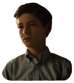😟 Bruce Wayne Gotham ragazzo, giovane, Gotham, personaggio, Bruce Wayne telegram sticker