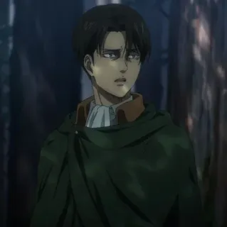 🔗 Levi Ackerman Attack on Titan Anime, Atak Tytanów, Levi Ackerman, Żołnierz, Manga, Postać telegram sticker