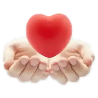 ❤️ corazón, manos, amor, cuidado, apoyo telegram sticker