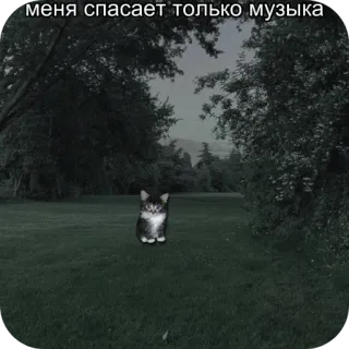 🎧 меня спасает только музыка 猫, 音楽, テキスト, ロシア語, 自然 telegram sticker