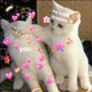 🐈 you my love & support kucing, cinta, dukungan, imut, binatang, hati telegram sticker