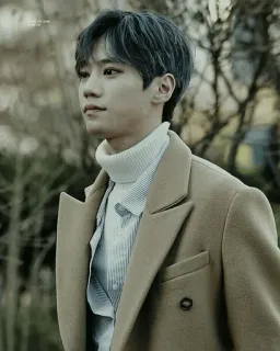 🌚 pria, mantel musim dingin, potret, mode, korea, model telegram sticker