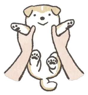 😊 cão, cachorro, fofo, animal, animal de estimação, mãos, segurando whatsapp sticker