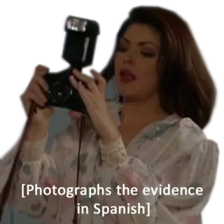 📸 Photographs the evidence in Spanish Foto, Beweis, Spanisch telegram sticker