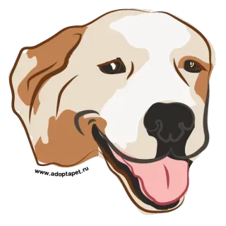 🙂 chien, animal de compagnie, animal, mignon, amical, illustration, autocollant whatsapp sticker
