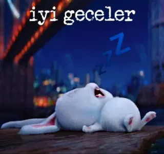 😴 iyi geceler 잘자요, 토끼, 졸린, 귀여운, 토끼 whatsapp sticker