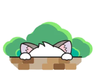 🙈 gato, escondido, arbusto, espiar, kawaii, fofo, animal whatsapp sticker