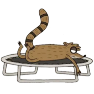 😪 Rigby Regular Show kreskówka, zwierzę, Rigby, szop, Zwyczajny serial, animowany telegram sticker