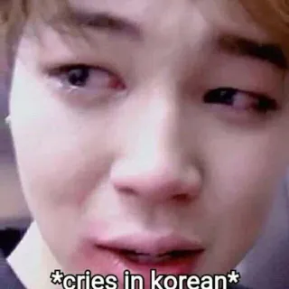 🇰🇷 *cries in korean* crying, sad, korean, meme, emotion, tears, upset telegram sticker