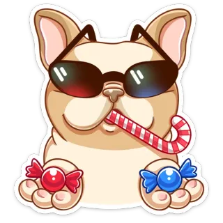 😎 cachorro, desenho animado, óculos de sol, doce, fofo, bulldog francês, animal telegram sticker