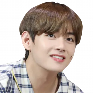 🙂 V person, singer, kpop, idol, celebrity telegram sticker