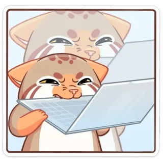 😤 chat, ordinateur, frustré, mème, autocollant, internet, drôle telegram sticker