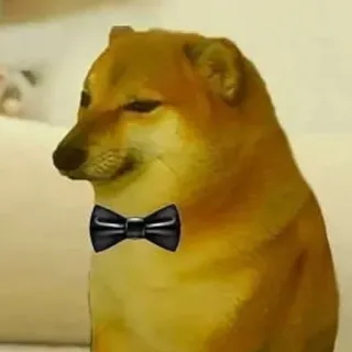 👔 perro, Cheems, pajarita, meme, elegante, mascota telegram sticker