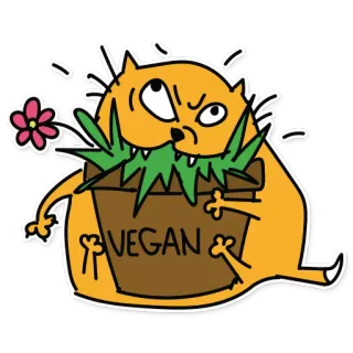 🌻 VEGAN cat, vegan, animal, sticker, flower, illustration, cartoon telegram sticker