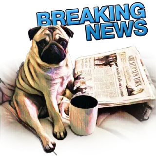 😮 BREAKING NEWS 퍼그, 개, 신문, 커피, 속보, 동물, 애완 동물 telegram sticker