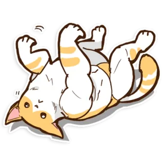 🐱 gatto, carino, giocoso, animale, adesivo, felino whatsapp sticker