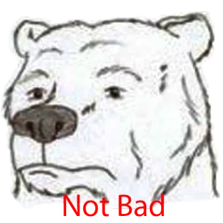 😗 Not Bad urso, animal, meme, engraçado, nada mal telegram sticker
