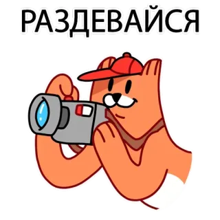 Bawell_47 by @fStikBot telegram stickers