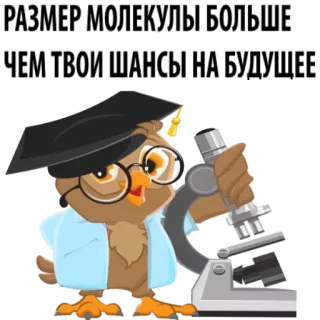 😅 coruja, cientista, microscópio, educação, pesquisa, acadêmico, laboratório, laboratório whatsapp sticker