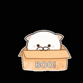 🎈 BOO! kat, doos, schattig, griezelig, Halloween, boe whatsapp sticker