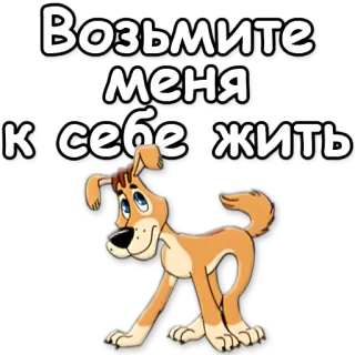 🙏 Возьмите меня к себе жить dog, puppy, cute, pet, animal whatsapp sticker