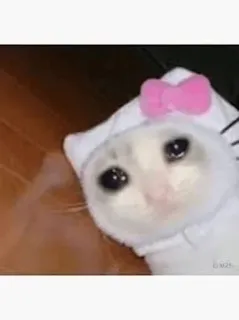 😩 猫, 子猫, 悲しい, 泣く, ハローキティ telegram sticker
